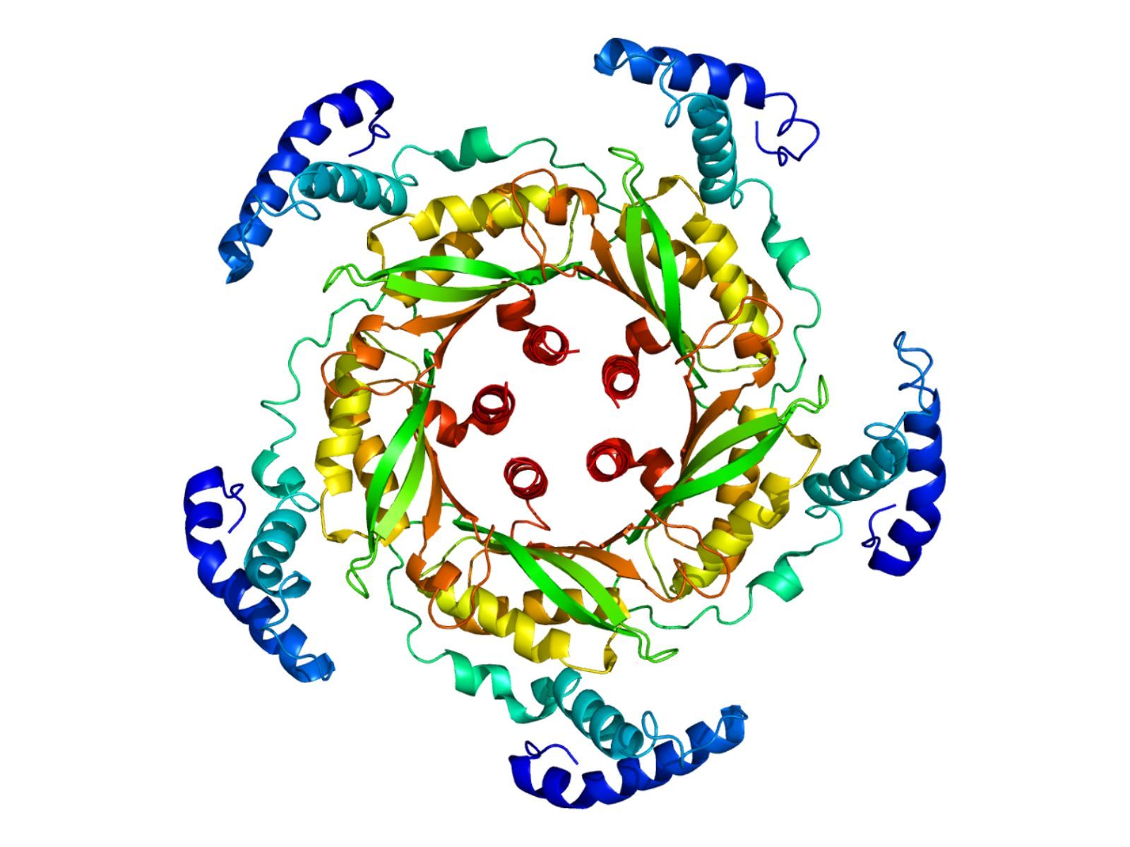 25-facts-about-gtp-cyclohydrolase-deficiency