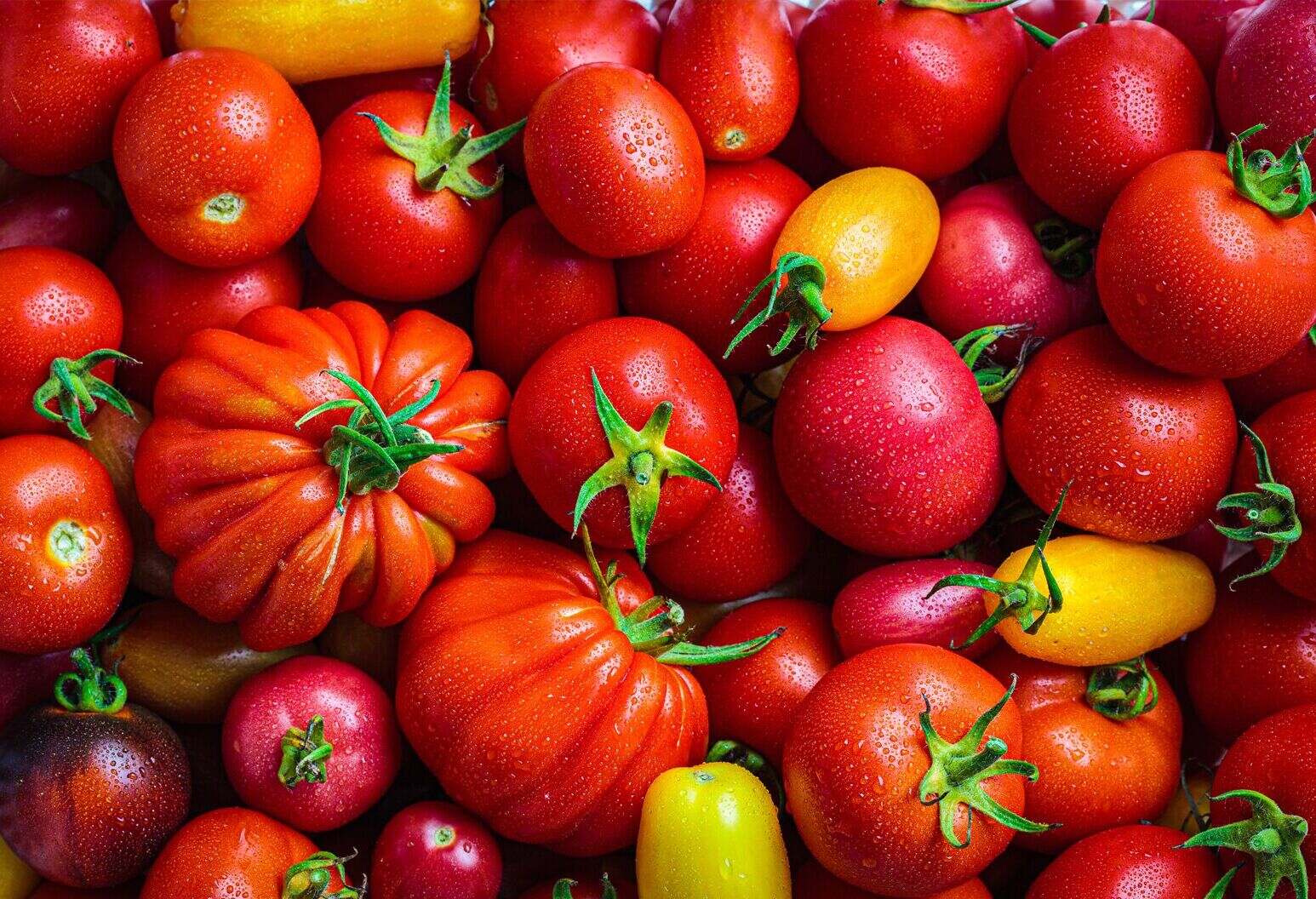 25-facts-about-lycopene