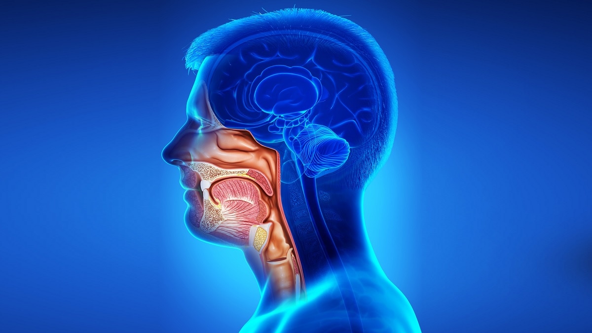 25-facts-about-pharyngeal-cancer-head-and-neck-cancer