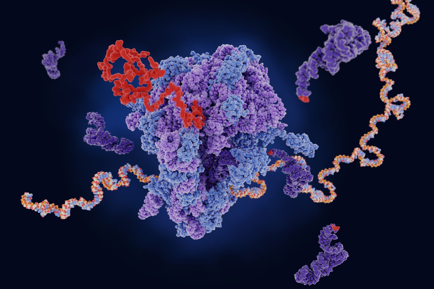 25-facts-about-rna-research