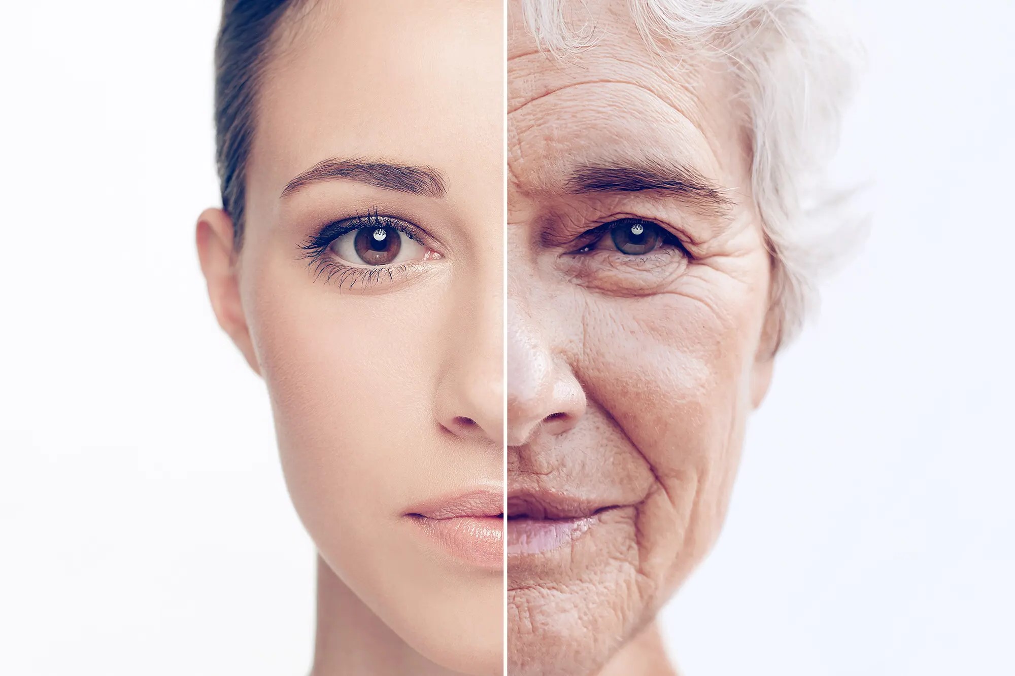 25-facts-about-the-science-of-aging