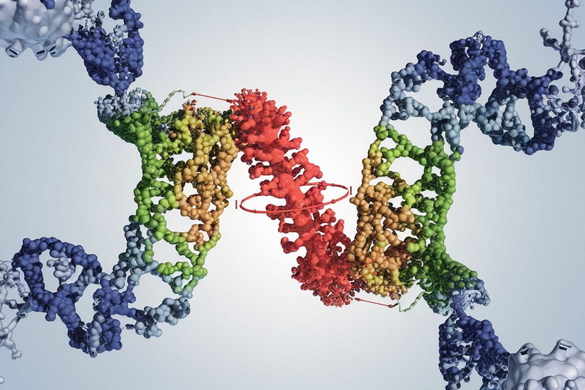 25-facts-about-uridine-monophosphate-synthetase-deficiency