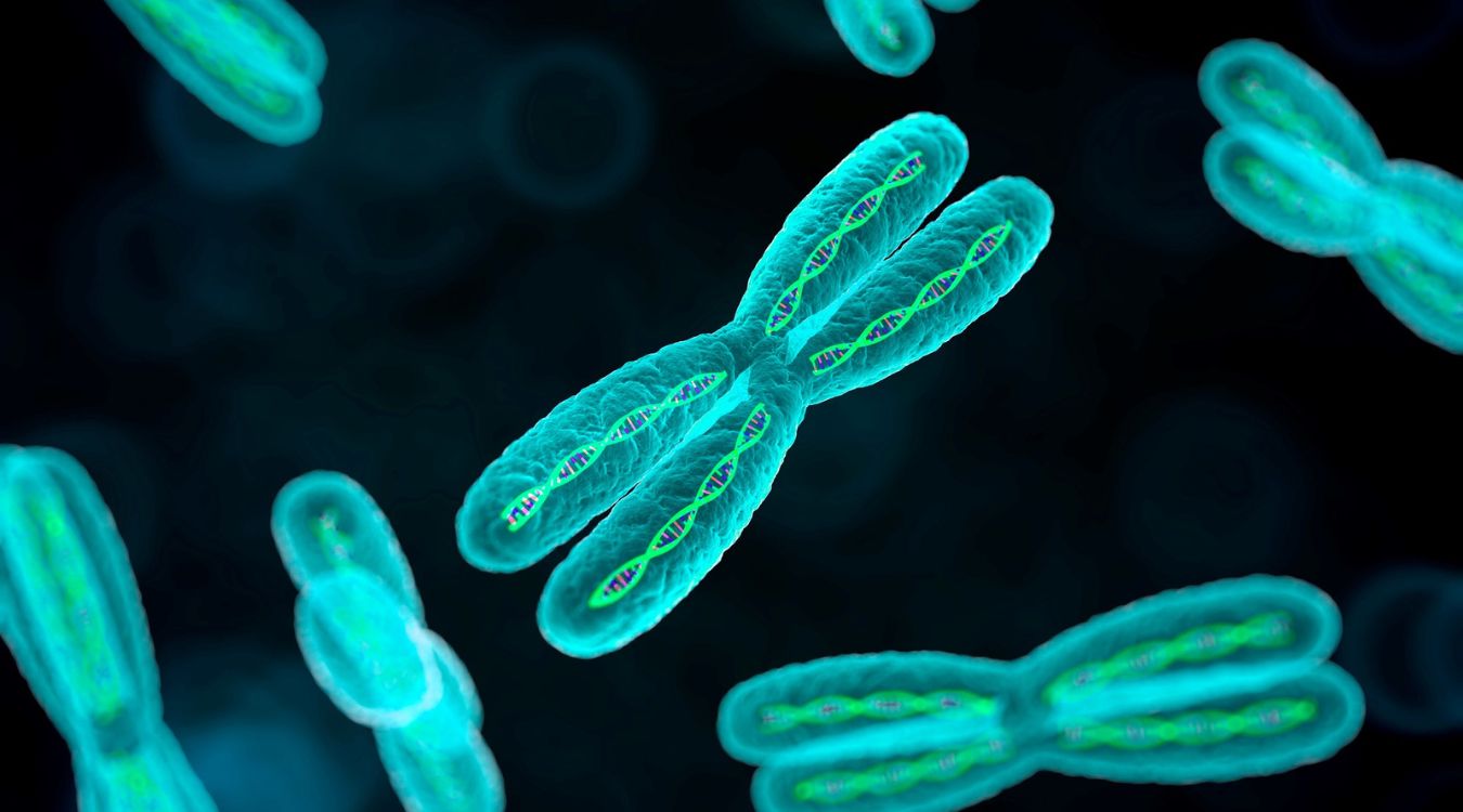 25-facts-about-y-chromosome-deletions