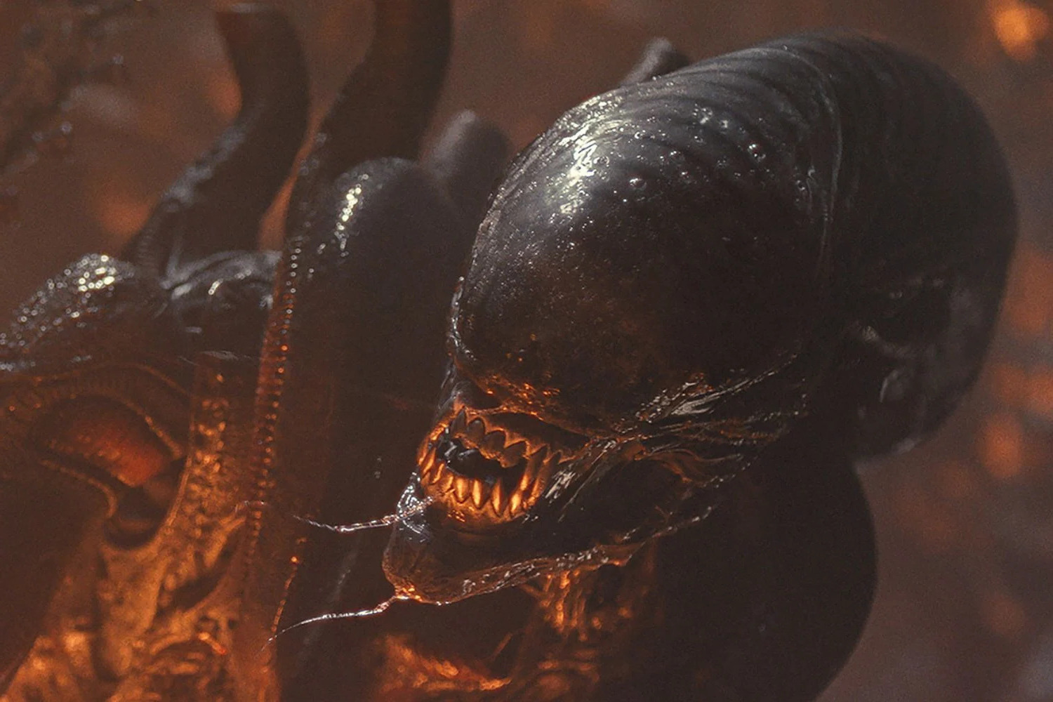 28-facts-about-alien-characters