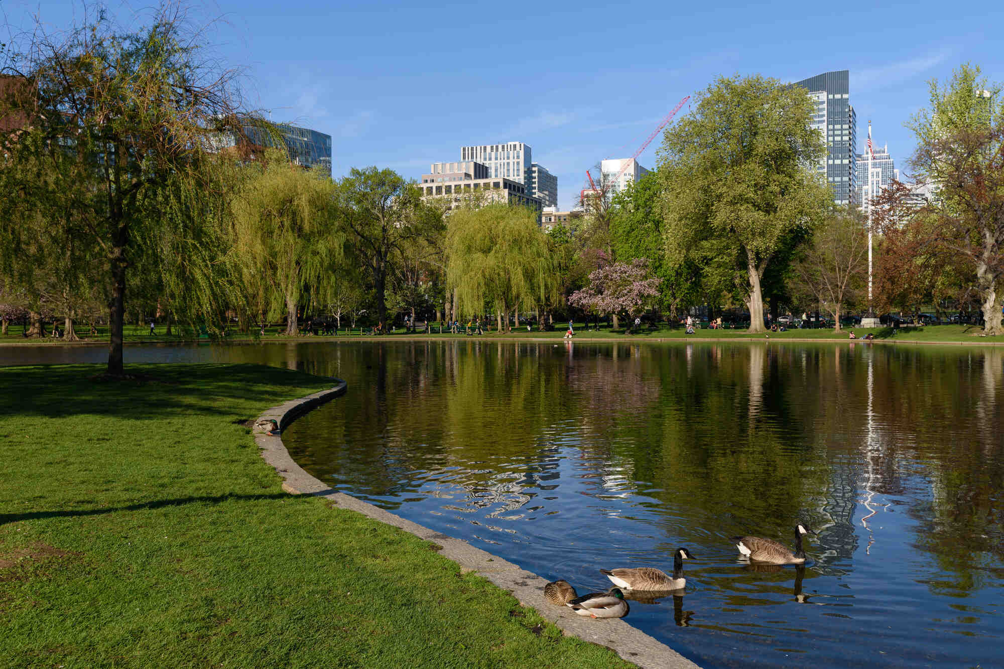 28-facts-about-boston-common