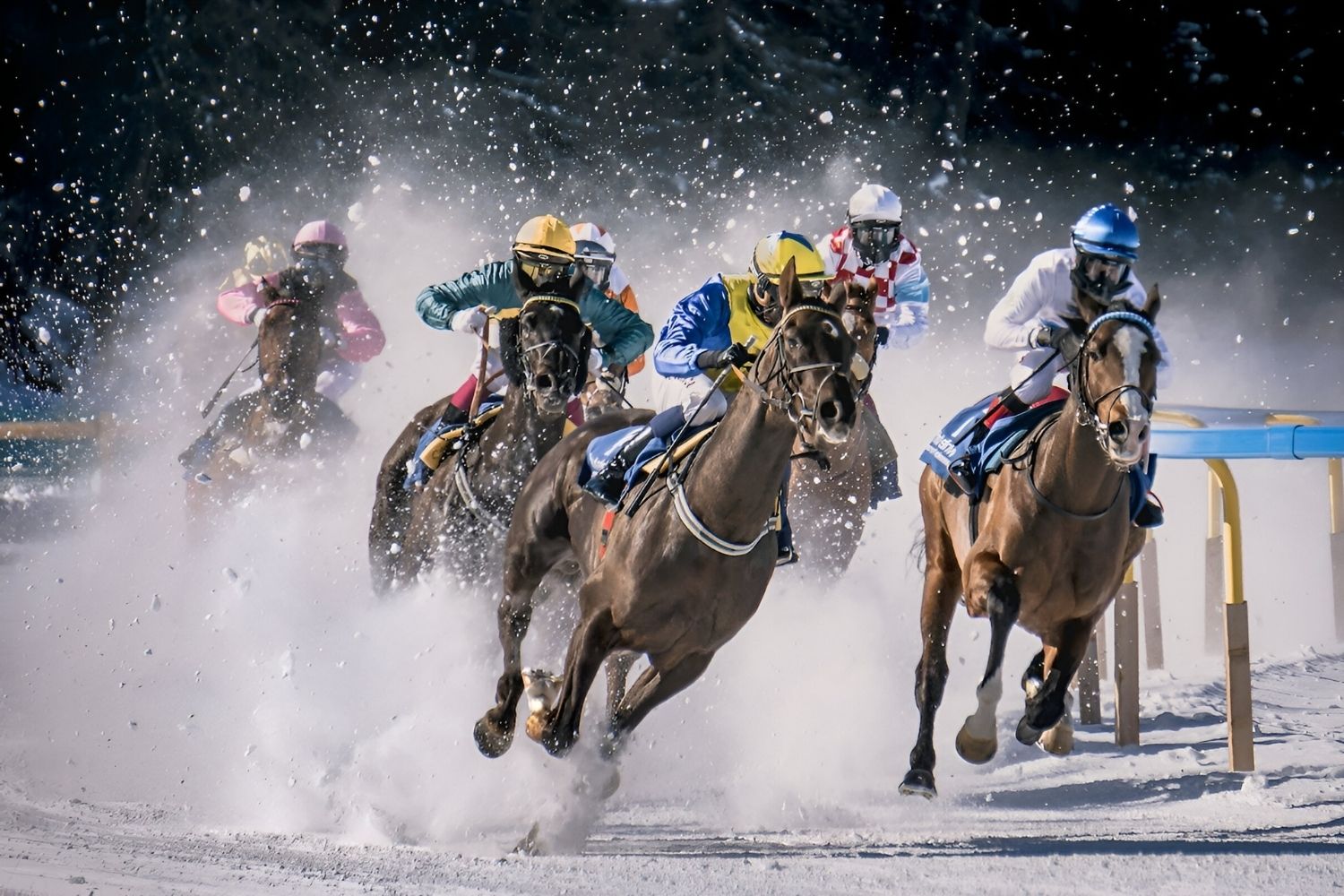 28-facts-about-canadian-horse-racing