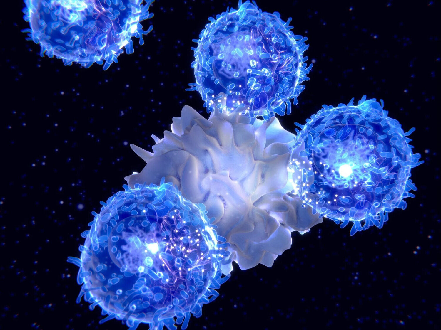 28-facts-about-memory-b-cells