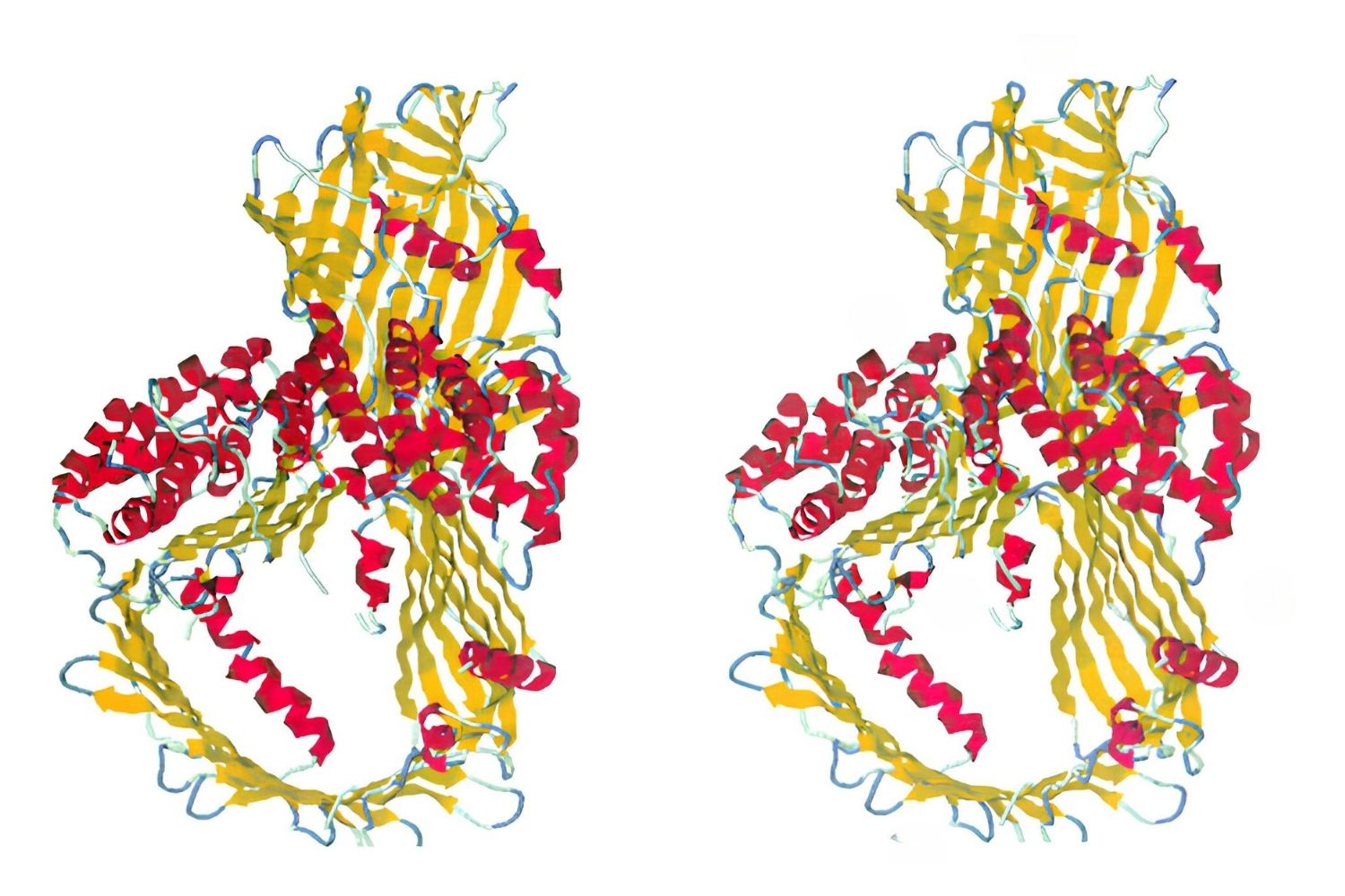 30-facts-about-defective-apolipoprotein-b-100