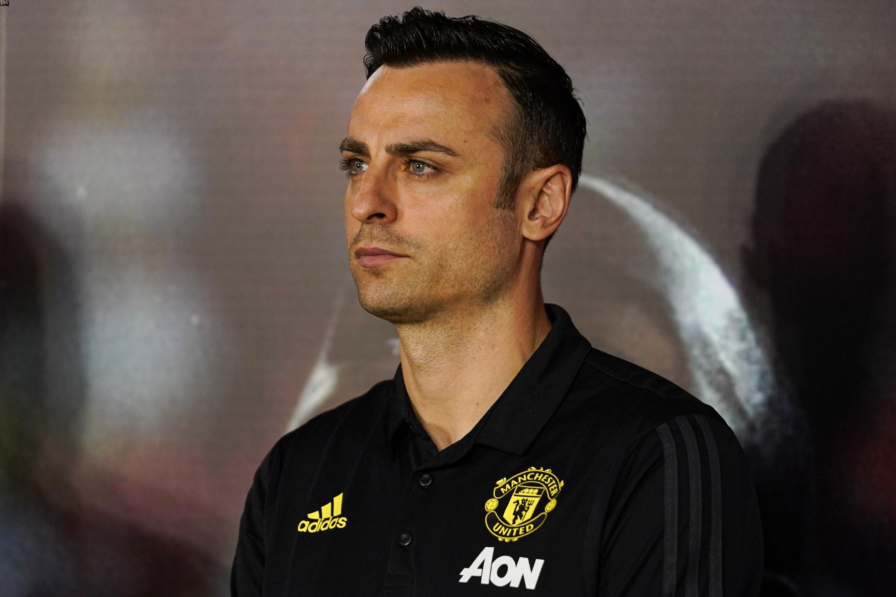 30-facts-about-dimitar-berbatov