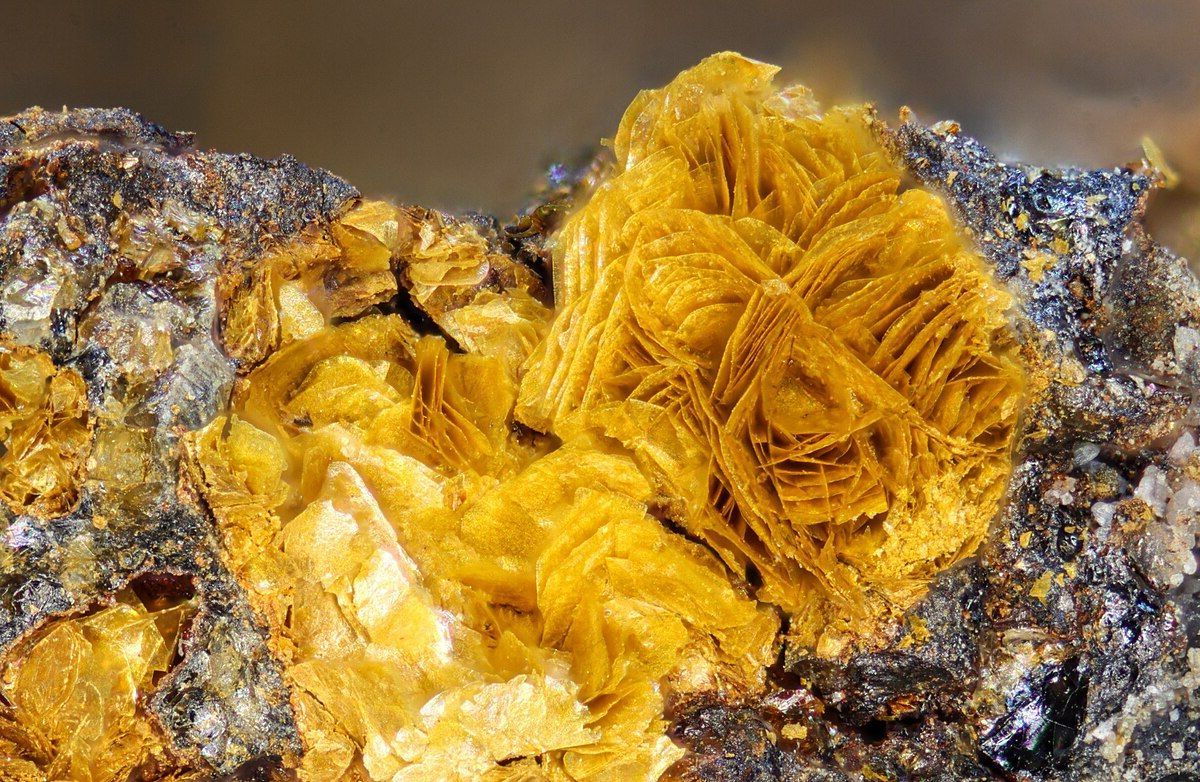 30-facts-about-fougerite