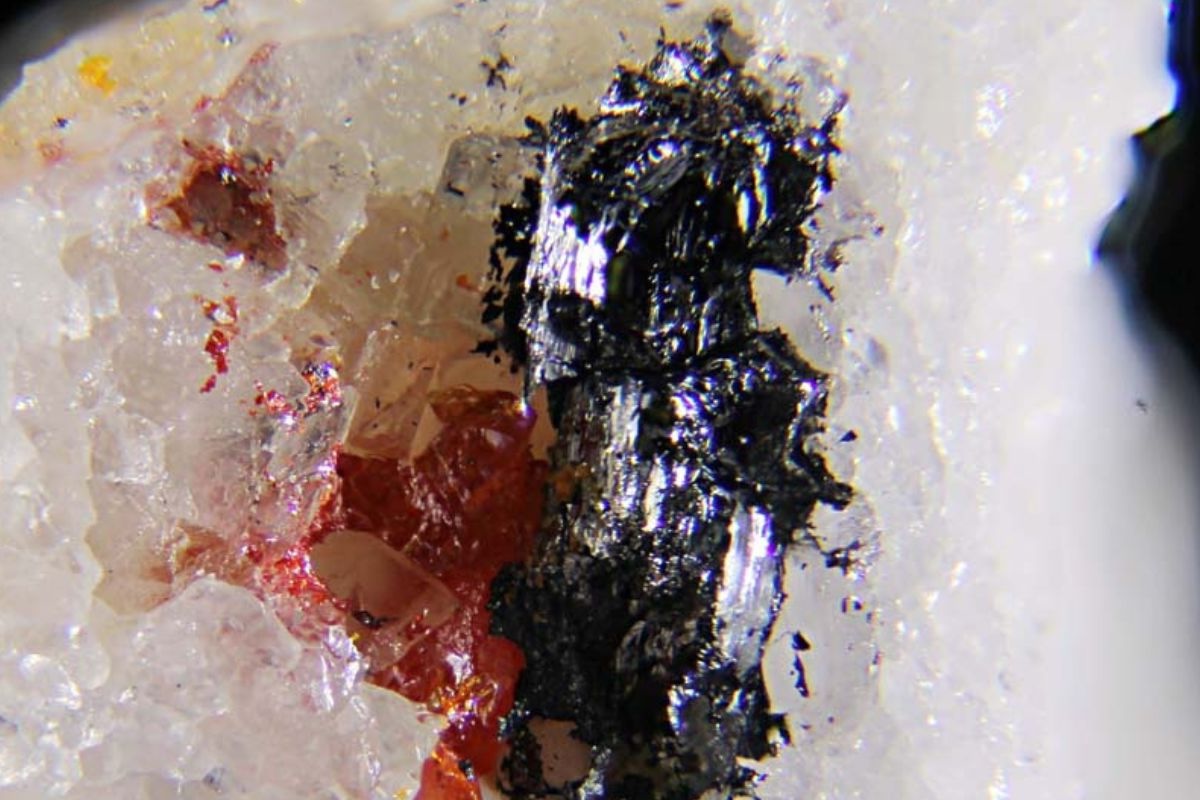 30-facts-about-heptasartorite