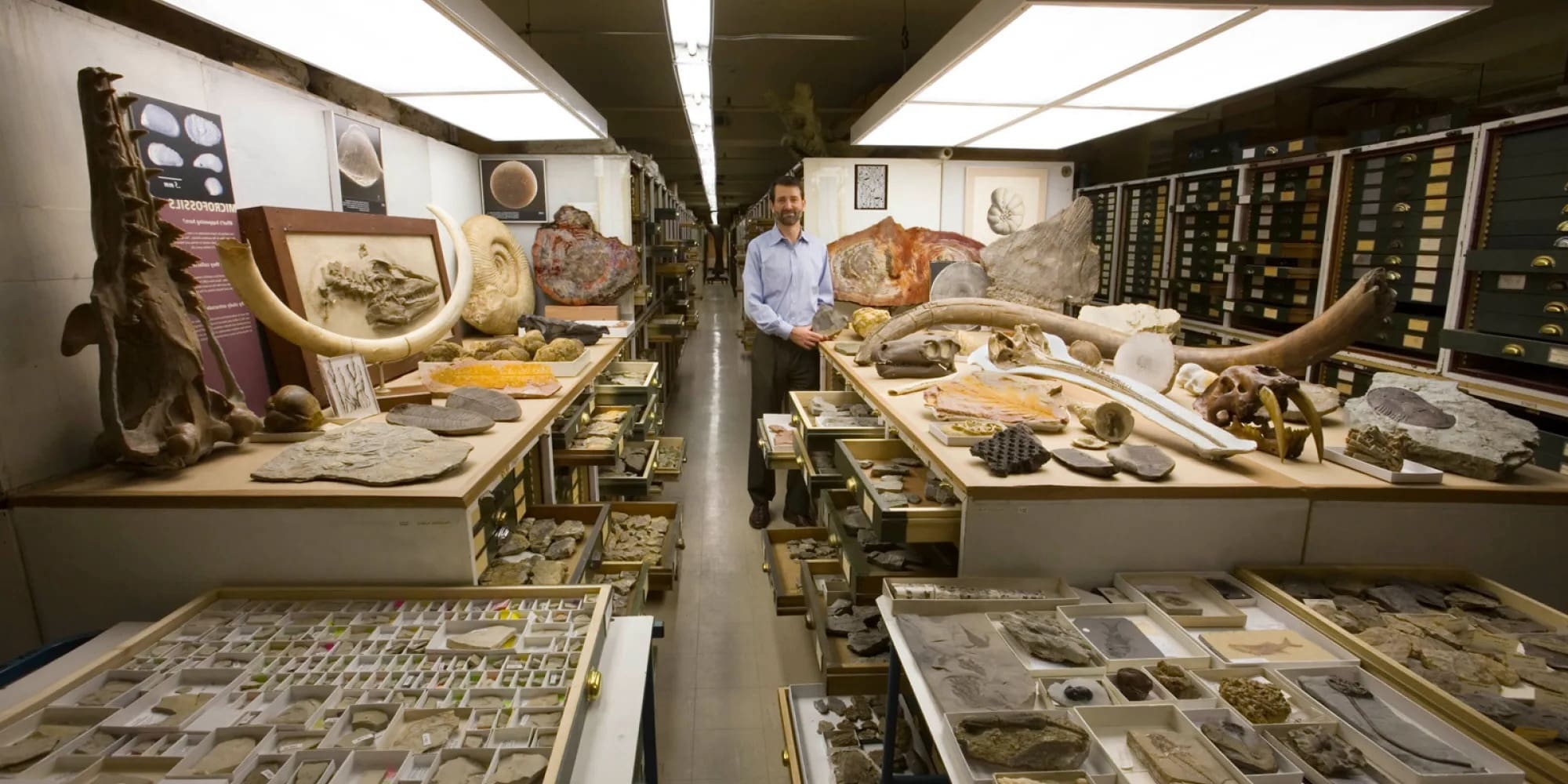 30-facts-about-historical-collections