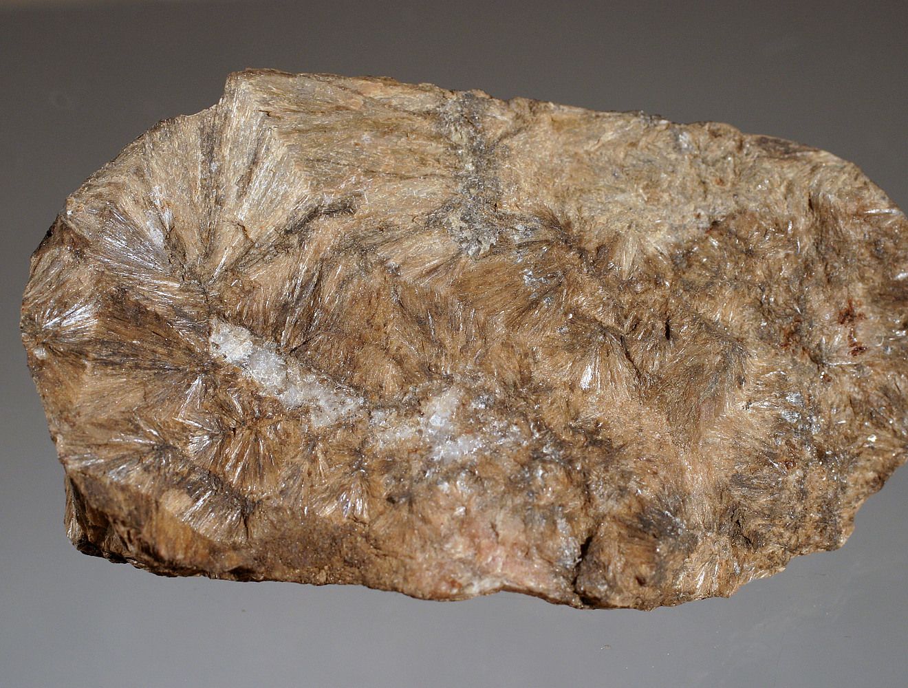 30-facts-about-johannsenite