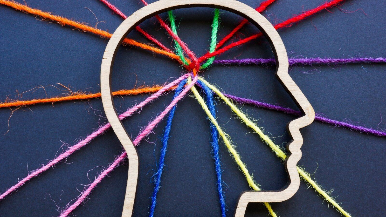 30-facts-about-neurodiversity-you-should-know