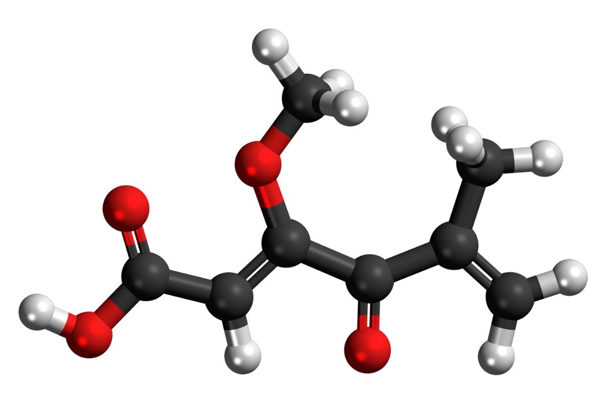 30-facts-about-penicillic-acid