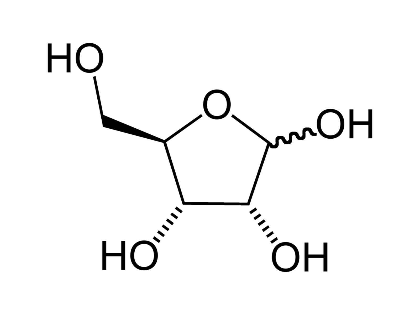 30-facts-about-ribofuranose-ribose