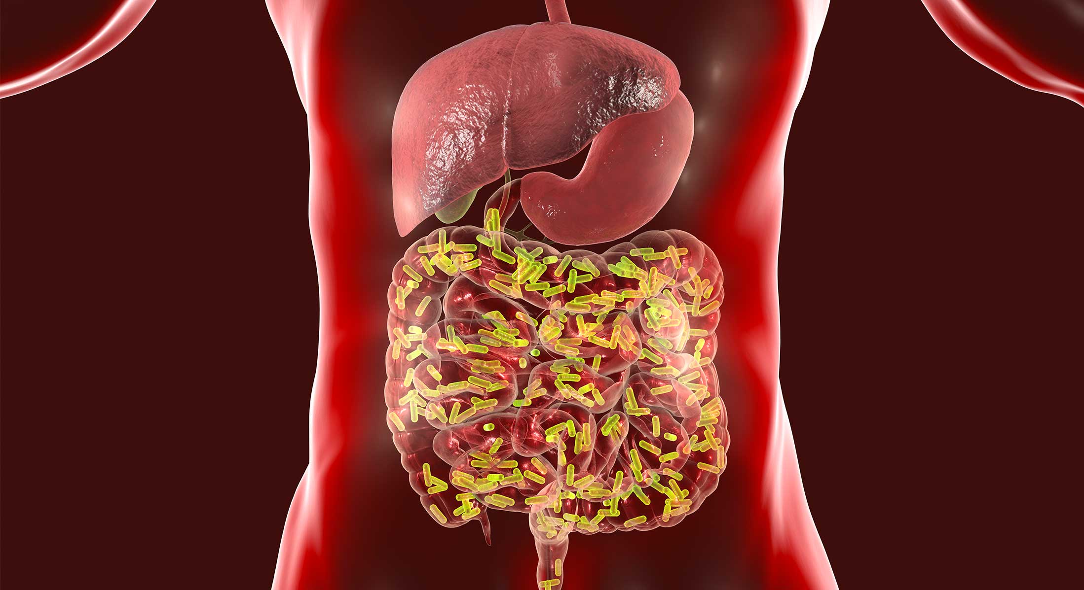 30-facts-about-the-human-microbiome