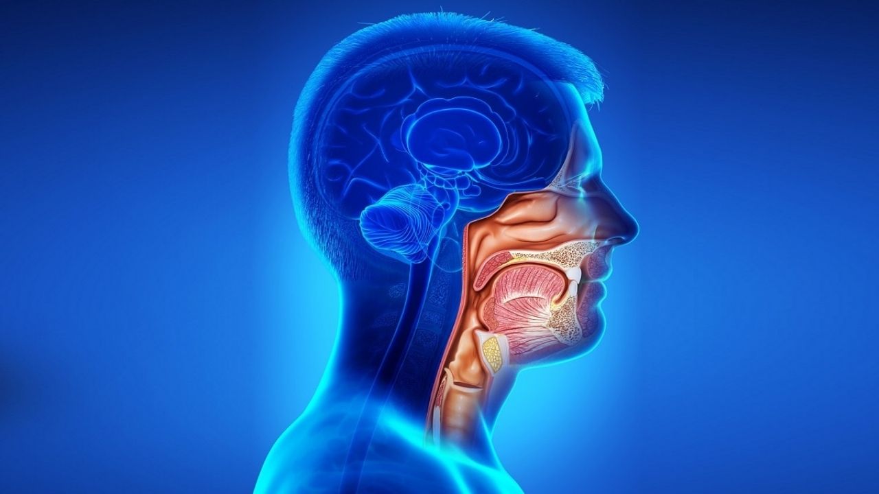 30-facts-about-throat-cancer-head-and-neck-cancer