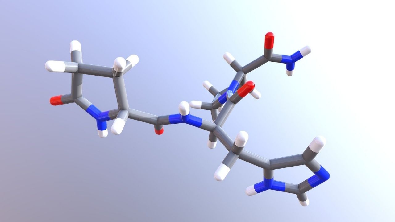 30-facts-about-thyrotropin-releasing-hormone-trh