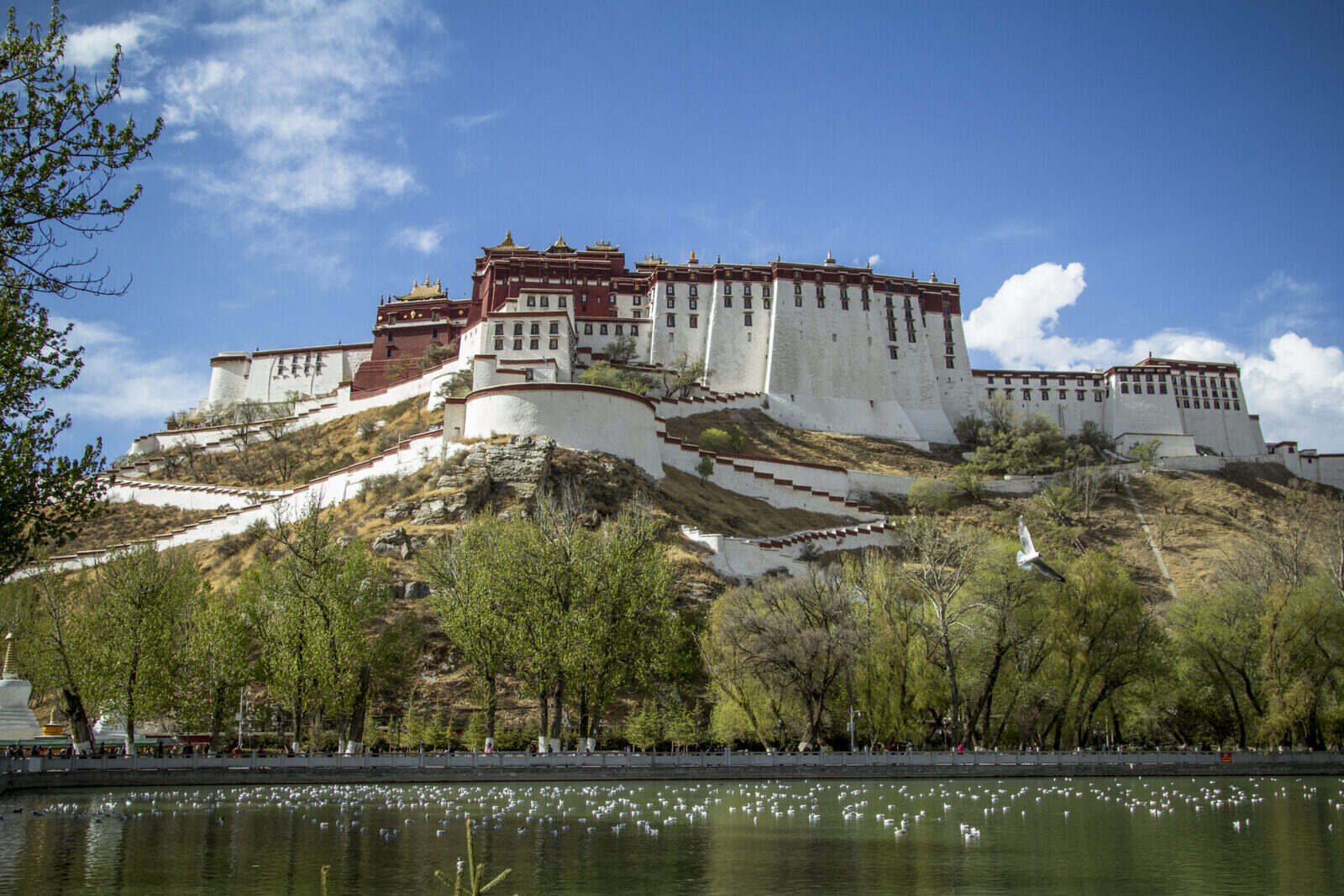 30 Facts About Tibetan Architecture - Facts.net