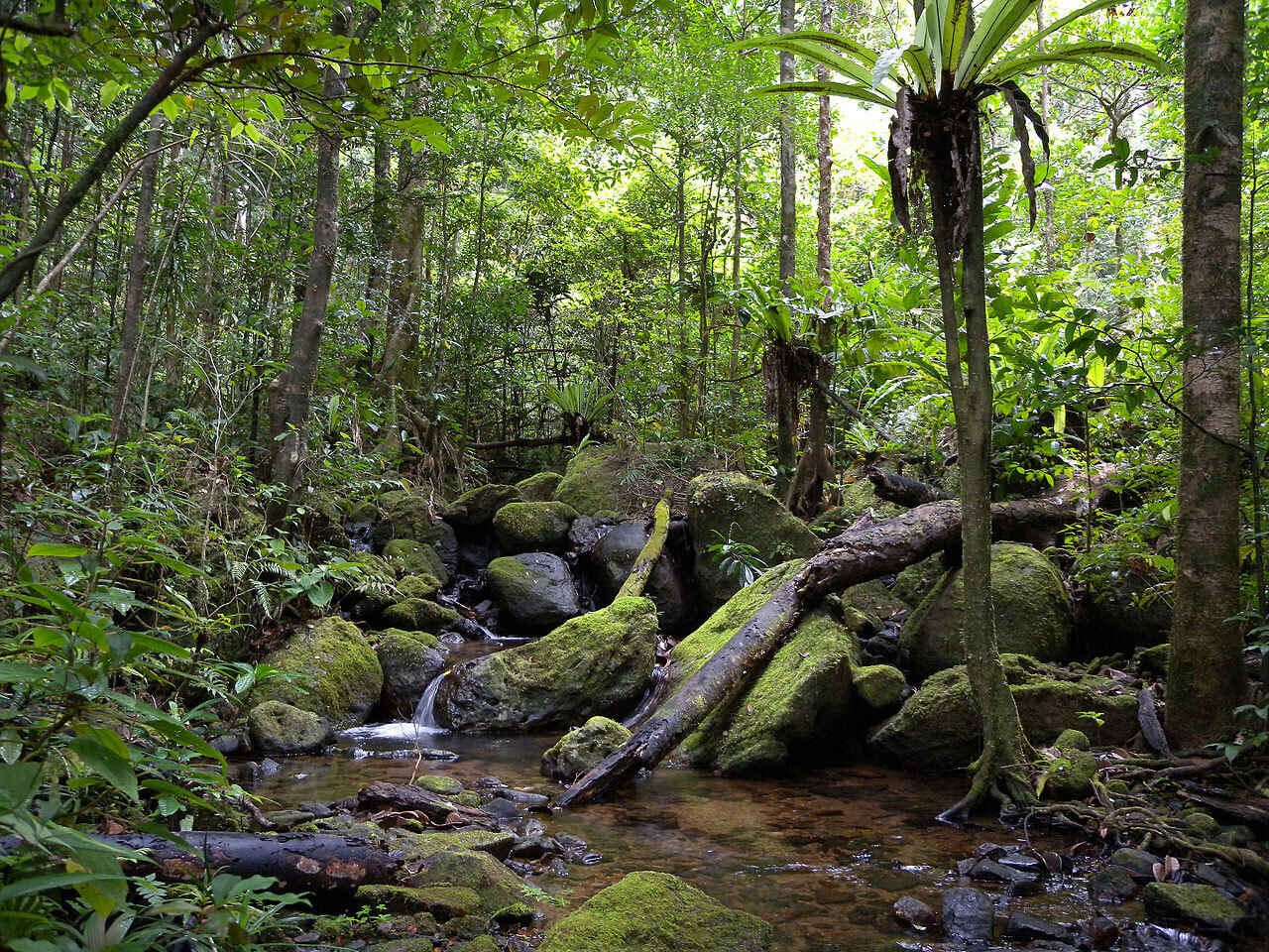 30-facts-about-tropical-ecosystems