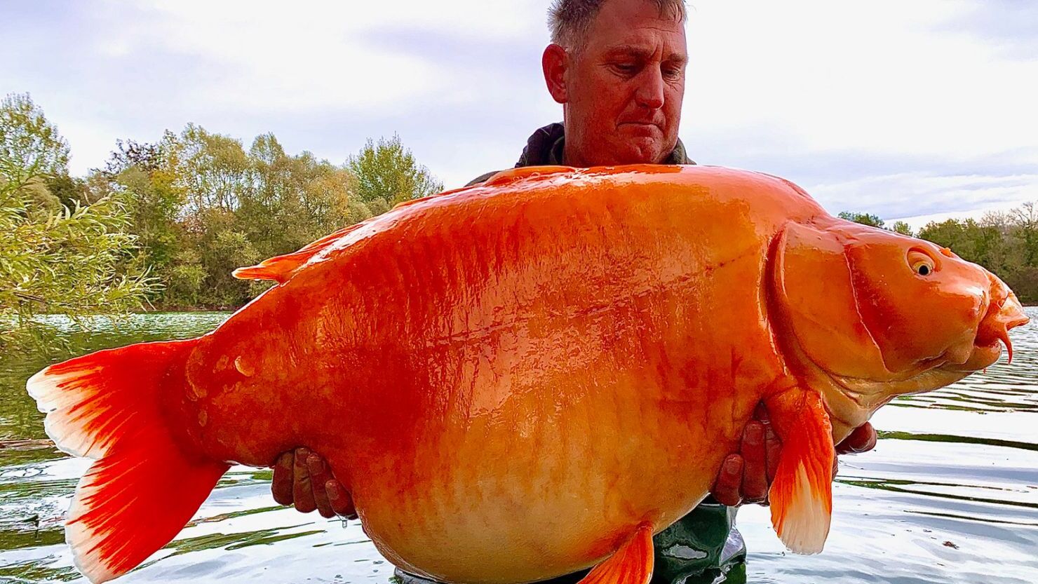 34-facts-about-biggest-fish-ever-caught