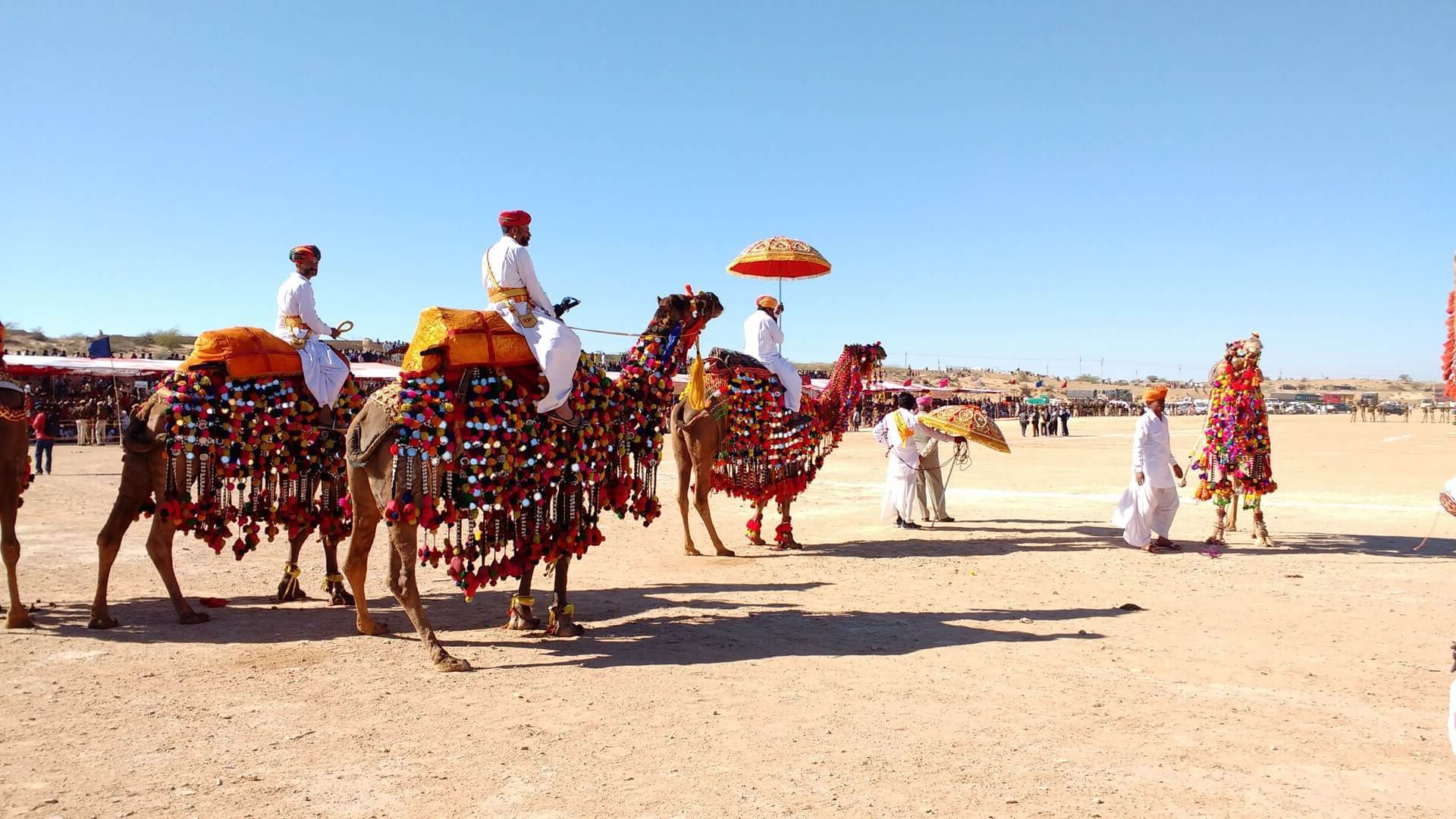 34-facts-about-king-abdulaziz-camel-festival