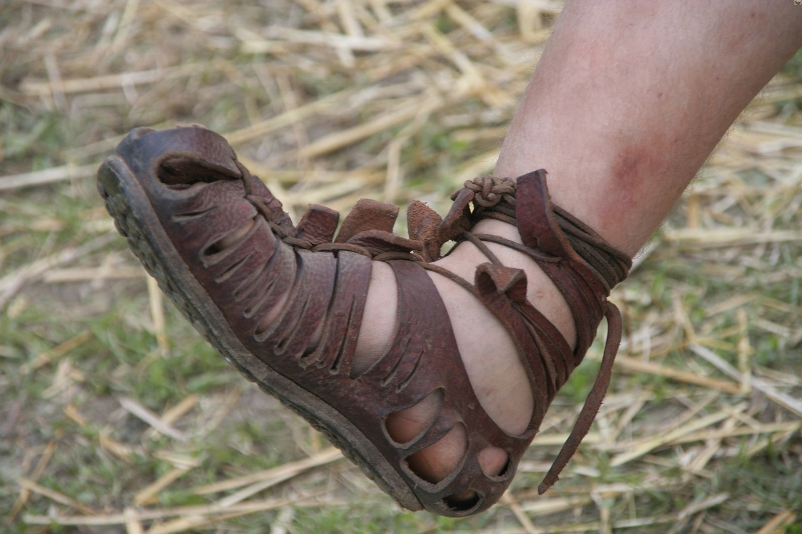 34-facts-about-roman-shoe