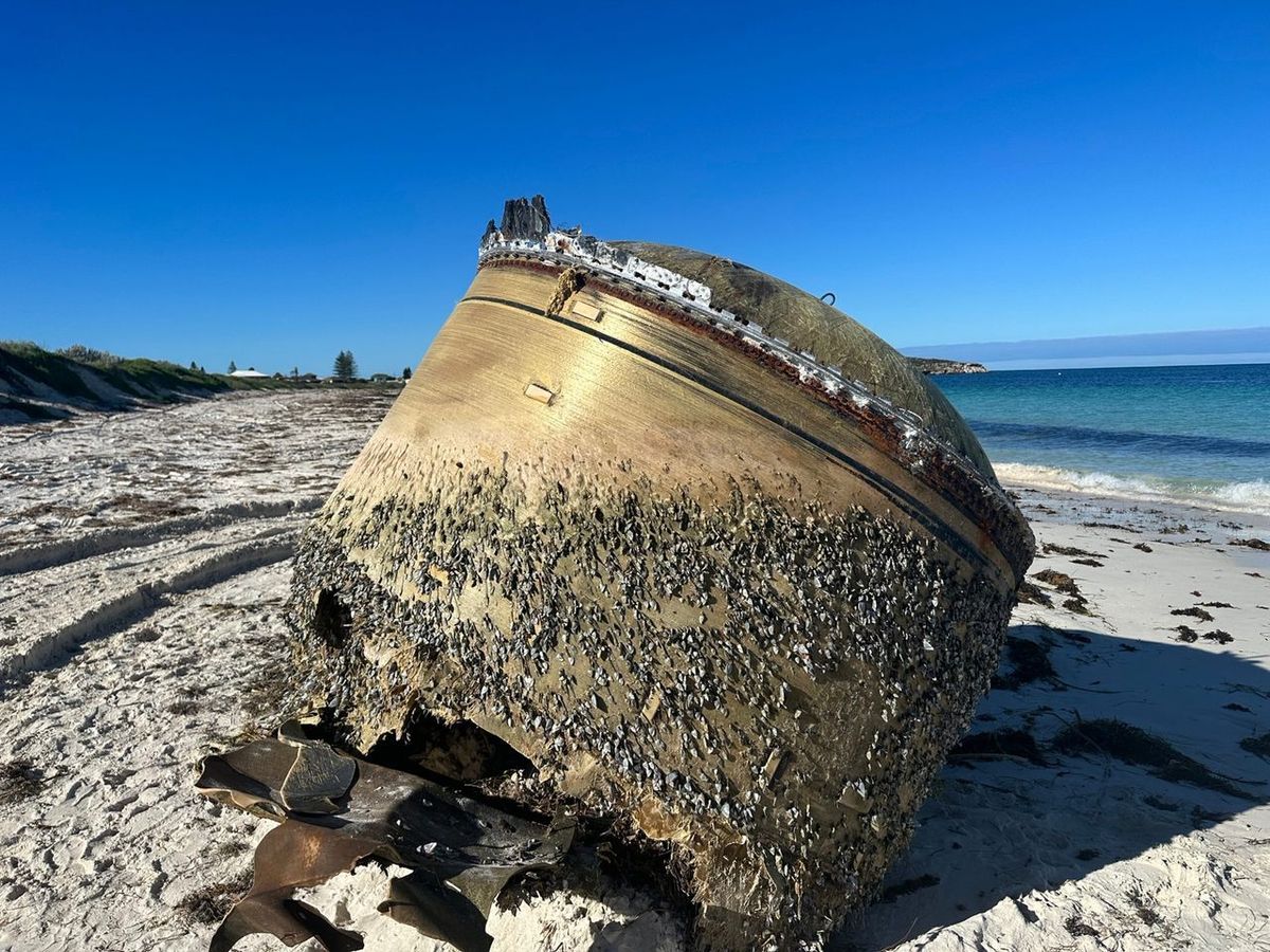 34-facts-about-weirdest-beach-objects