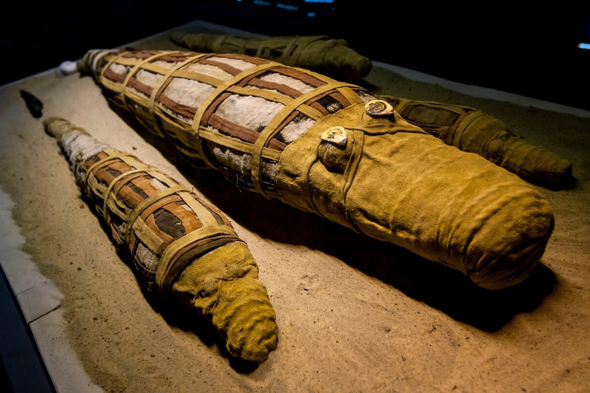 35-facts-about-ancient-egyptian-crocodile-mummies