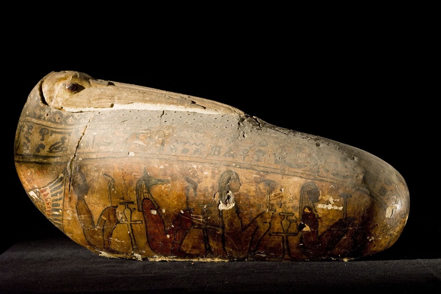 35 Facts About Ancient Egyptian Ibis Mummy - Facts.net