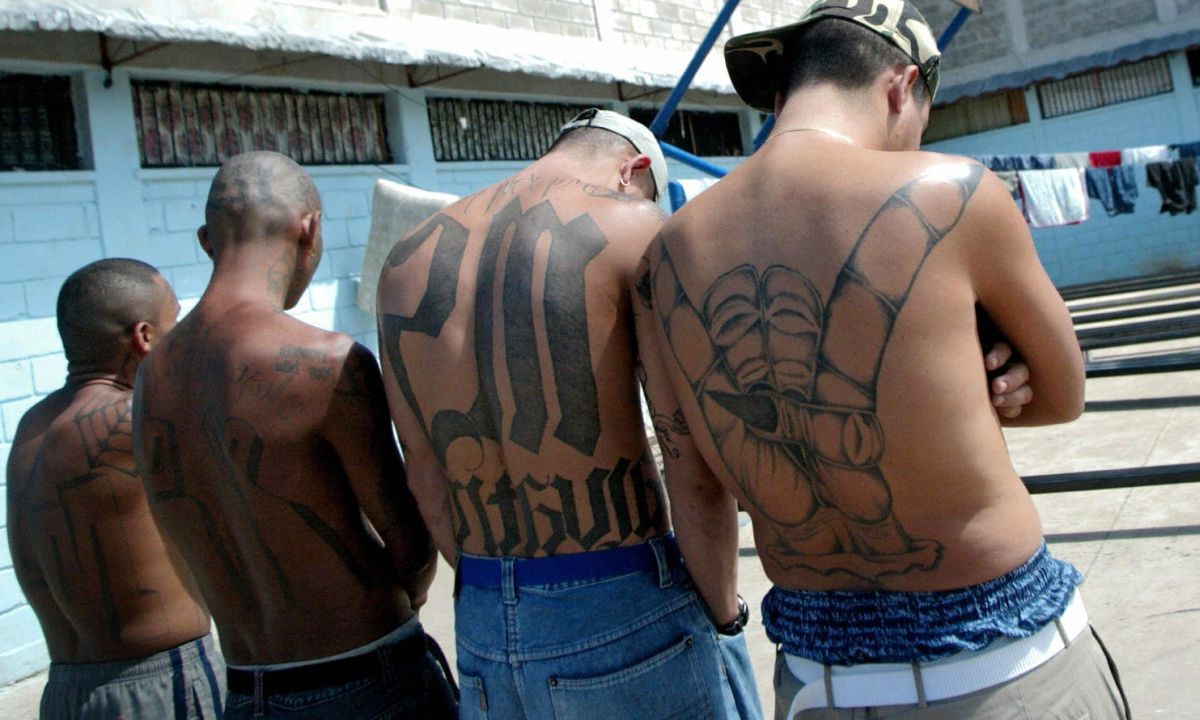 35-facts-about-brutal-gangs