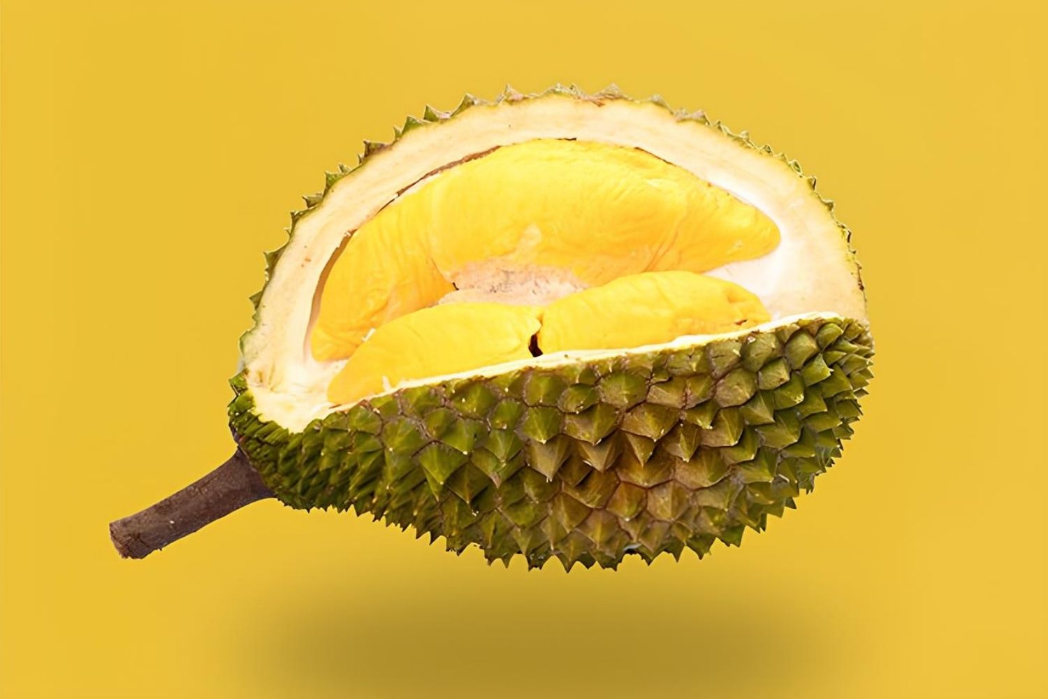 35 Facts About Durian Fruit - Facts.net