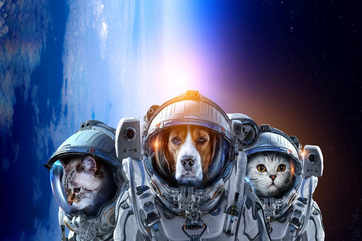 35-facts-about-first-animals-in-space