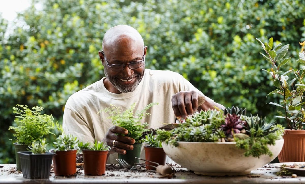 35-facts-about-gardening-as-a-therapeutic-hobby