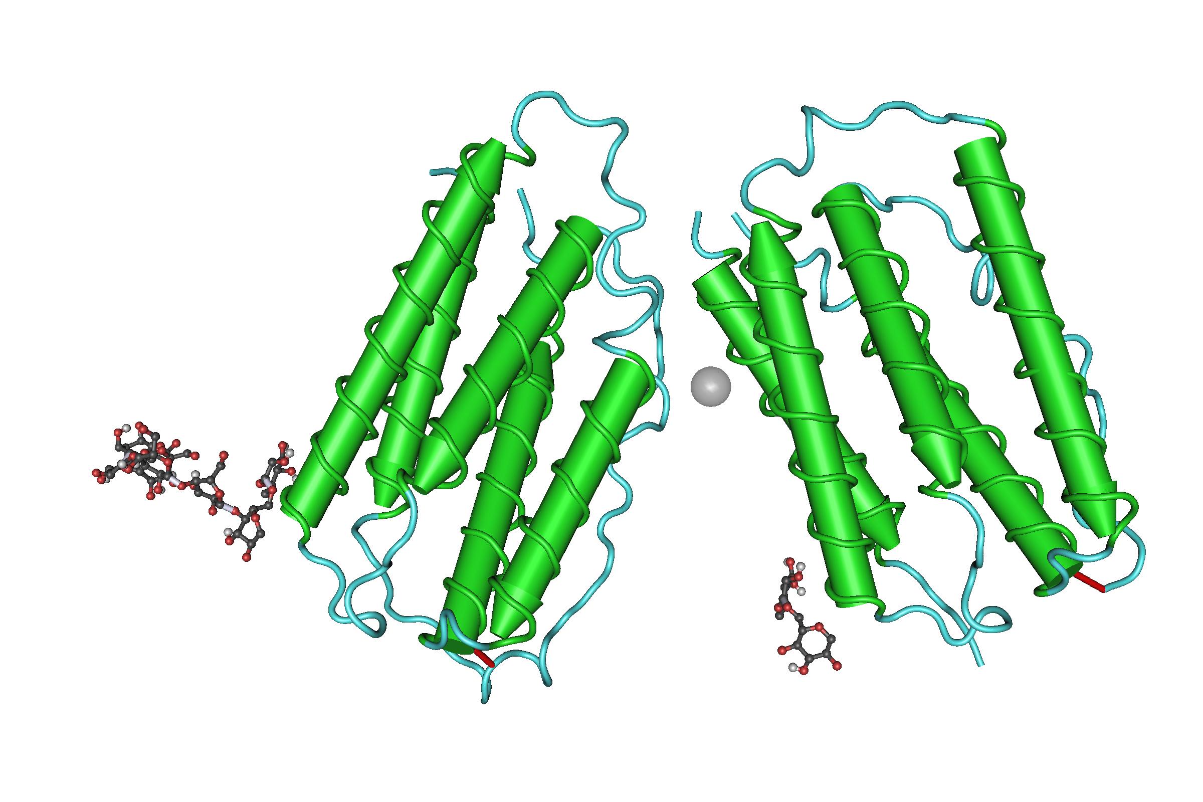 35-facts-about-ifns-interferons