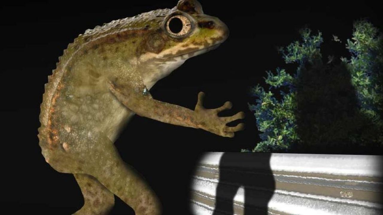 35 Facts About Loveland Frogman Facts 35 Facts About Loveland Frogman Facts