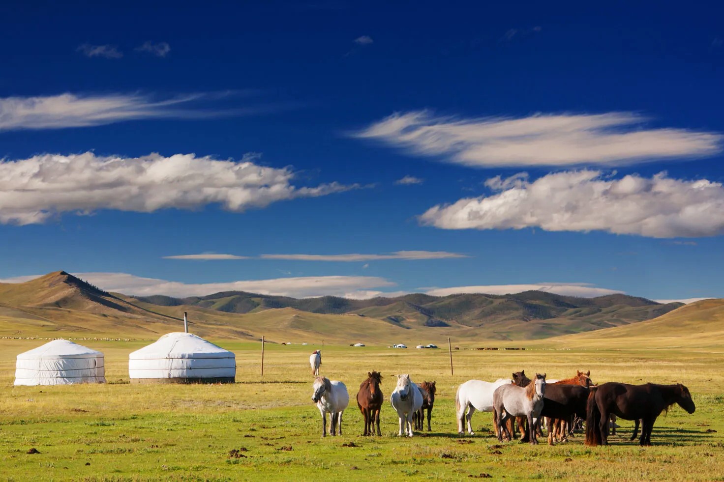 35-facts-about-mongolia-nomads