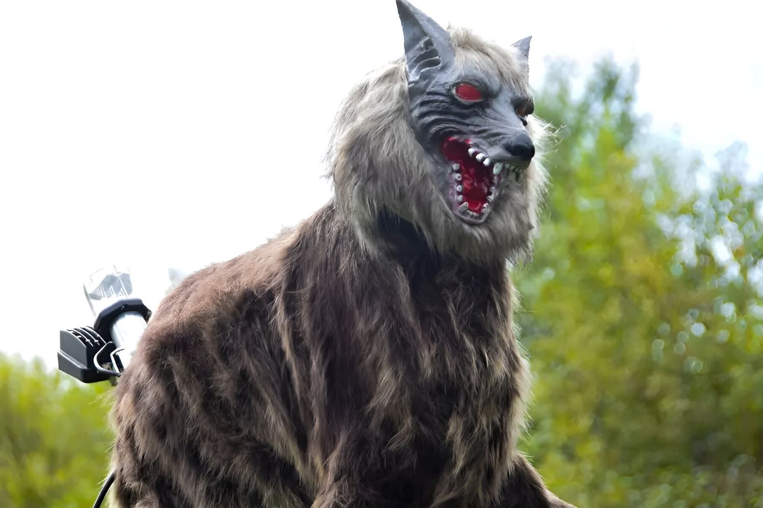 35-facts-about-monster-wolf-robot-japan