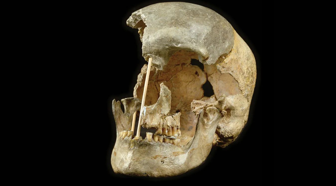 35-facts-about-pre-human-remains-europe