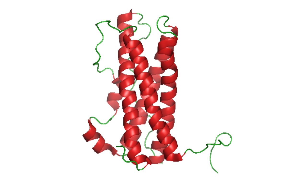 35-facts-about-prolactin-prl