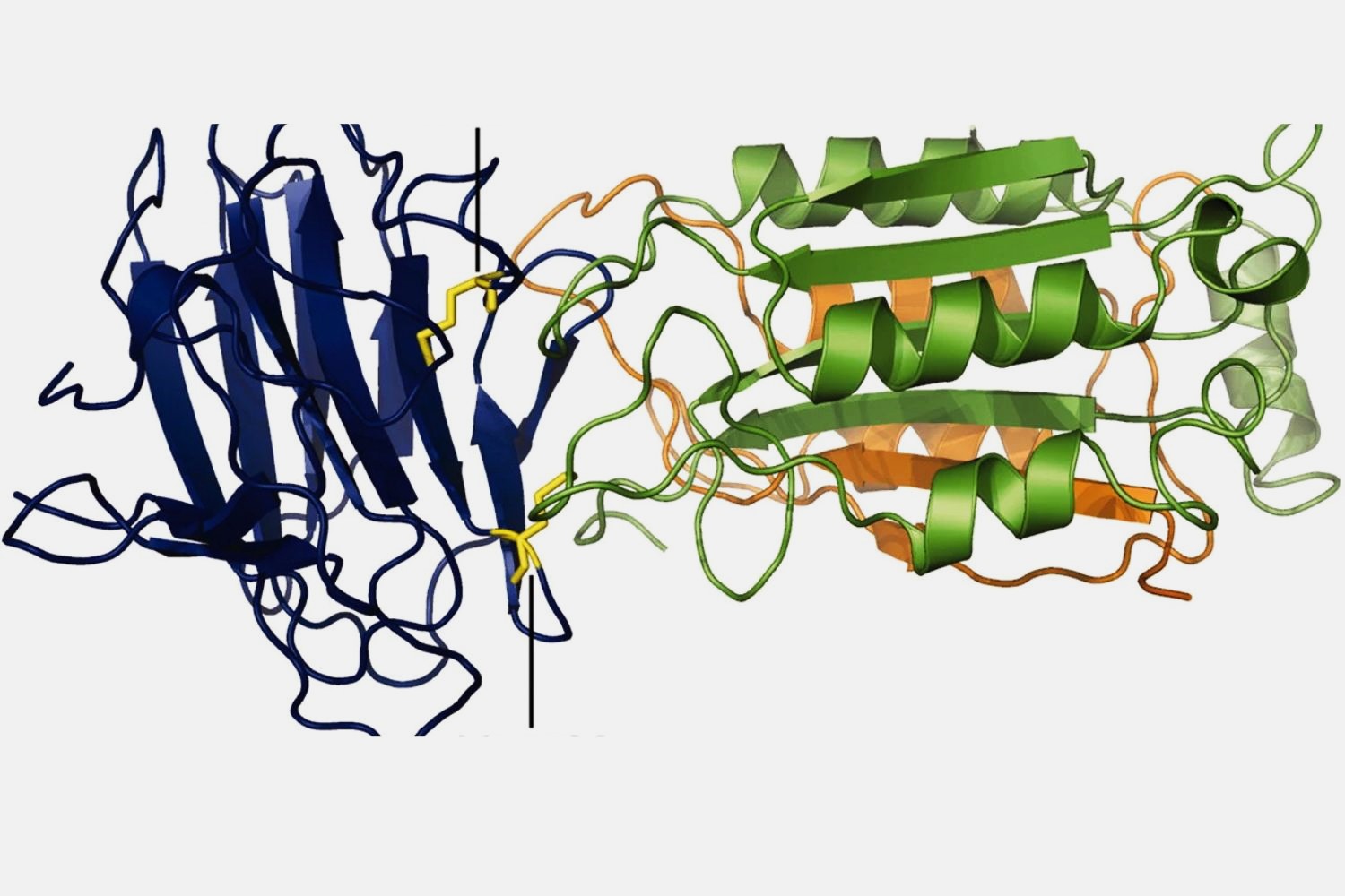 35-facts-about-pyrin-mutation