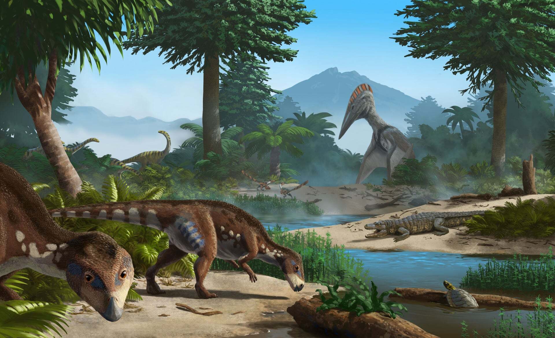 35-facts-about-transylvanosaurus