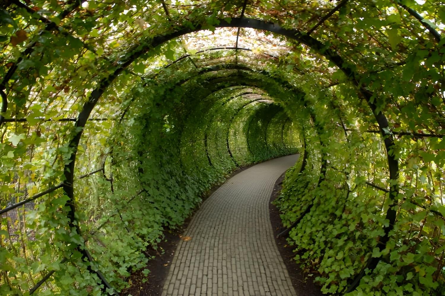 37-facts-about-poison-garden-alnwick