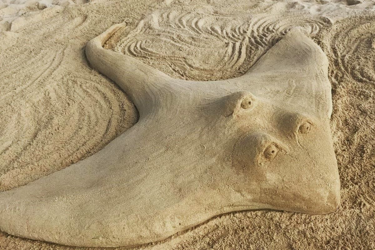 37-facts-about-stingray-sand-sculpture