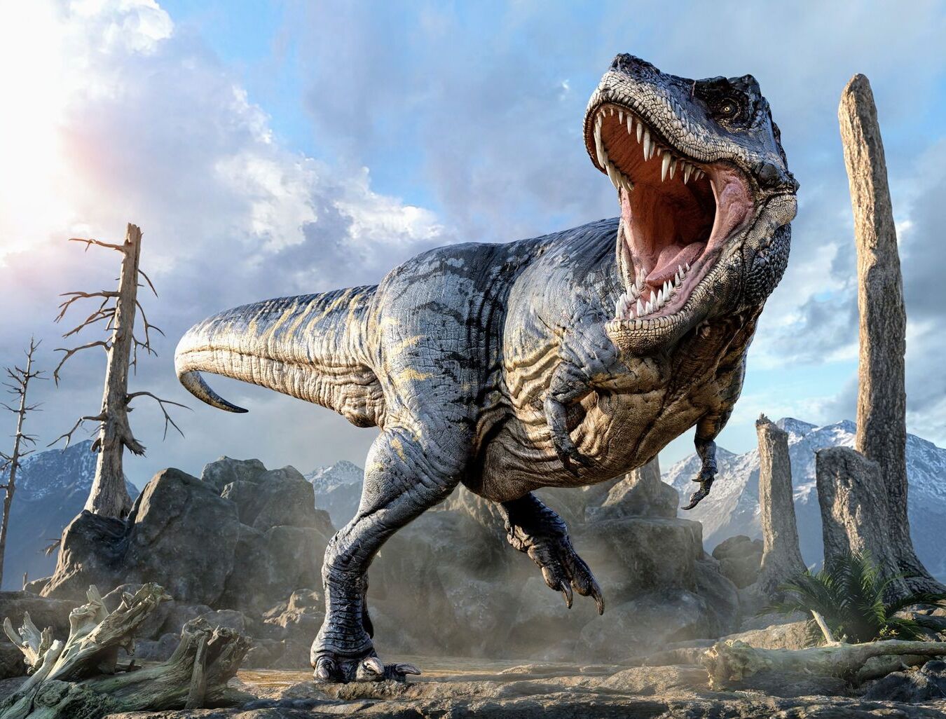 38 Facts About T Rex Bite Power - Facts.net