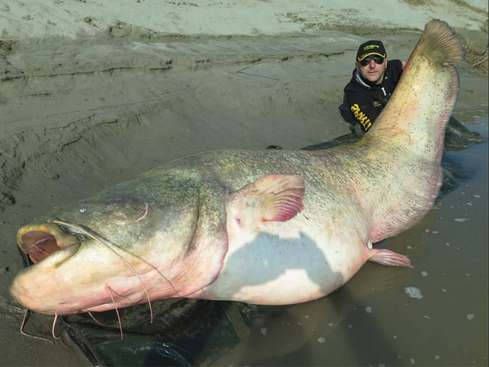 38-facts-about-biggest-fish-ever-caught