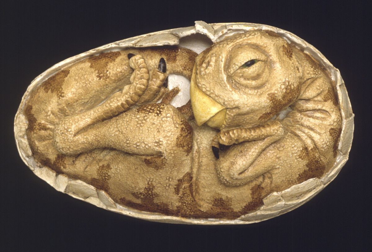 38 Facts About Oviraptorid Embryo - Facts.net