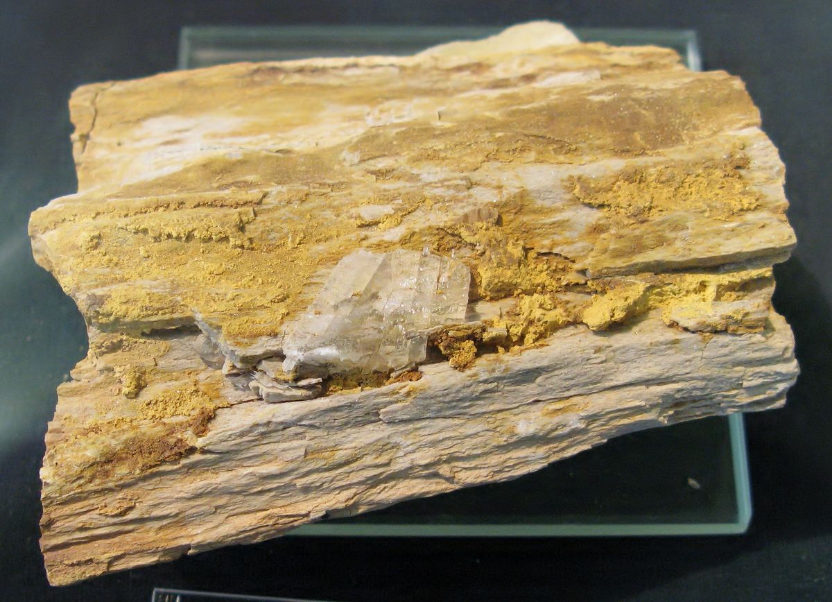 40-facts-about-carnotite