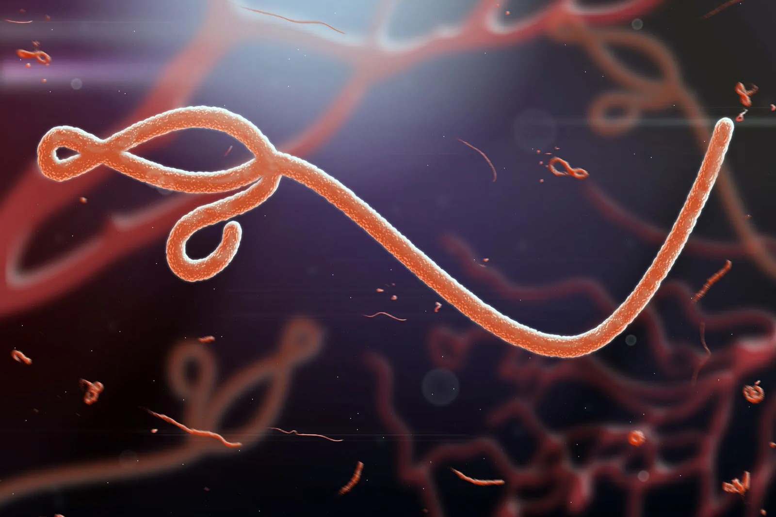 40-facts-about-ebola-virus-disease